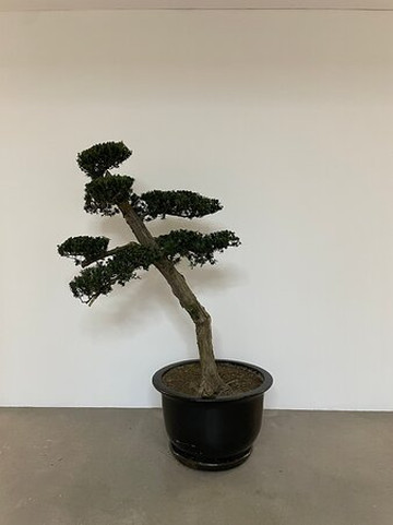 上海外滩美术馆-上海市必去景点