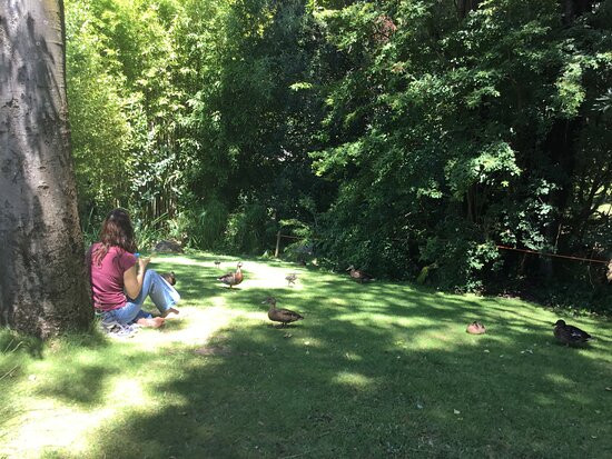 Gulbenkian Garden景点图片