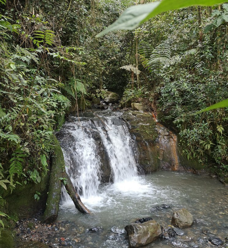 Las Cascadas de Chupal景点图片