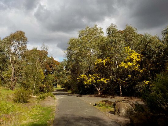 墨尔本单车道-墨尔本必去景点
