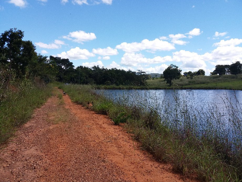 Pireneus Vinhos e Vinhedos-Cocalzinho de Goias必去景点