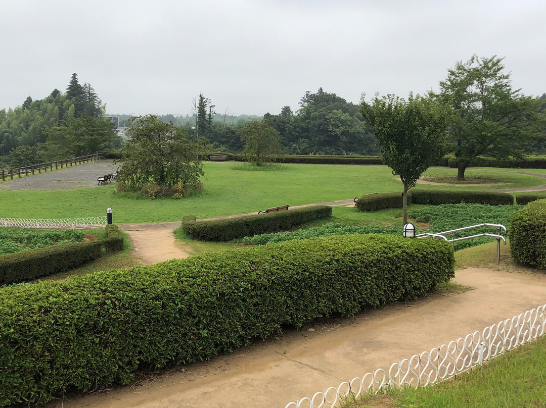 Sanrizuka Sakura no Oka景点图片