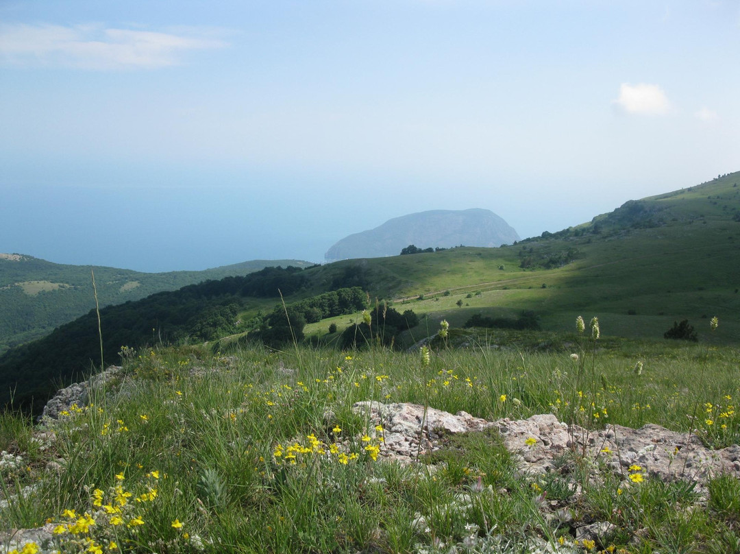 Crimea Nature Preserve景点图片