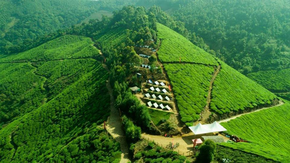 Tea Town Kerala - Munnar景点图片