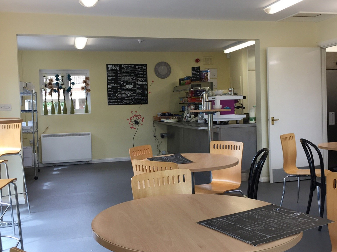 The Tea Room