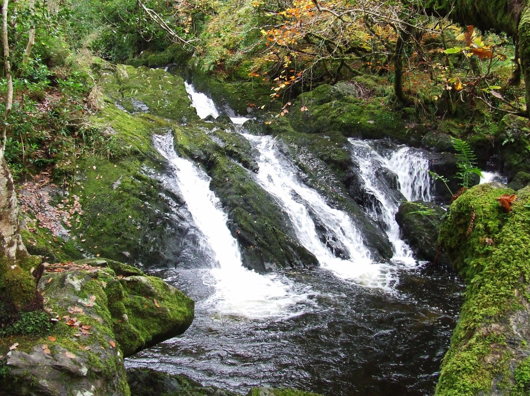 Glengarriff Nature Reserve景点图片