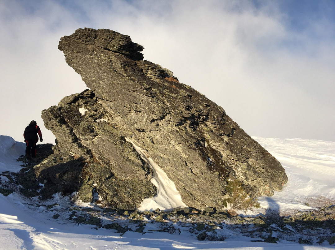 Ivdel旅游攻略图片