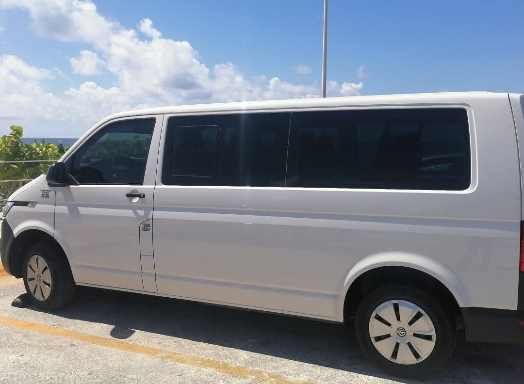 Taxis Delfines Holbox景点图片