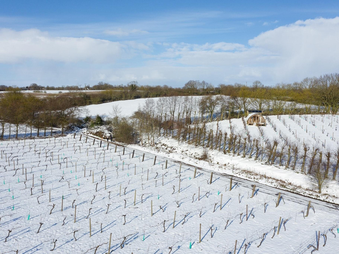 Valley Farm Vineyards景点图片