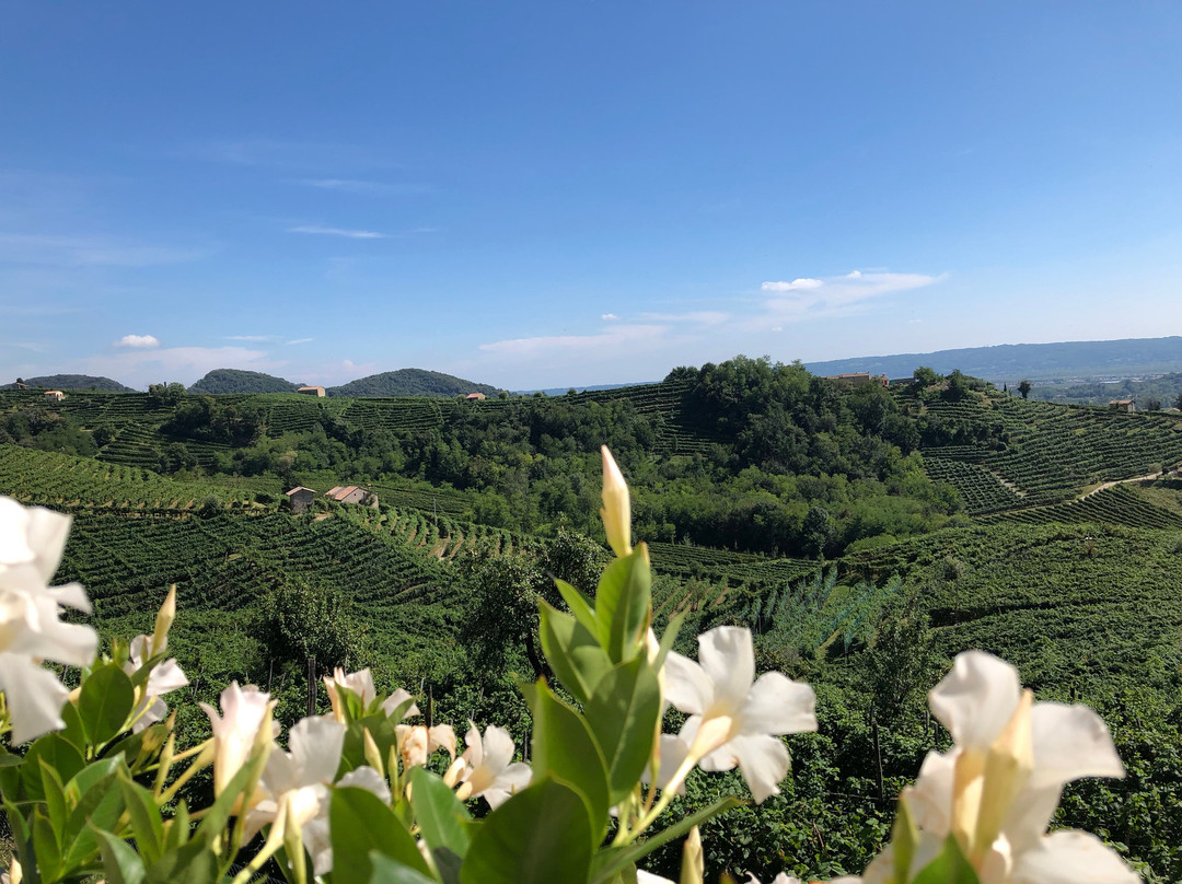 Santo Stefano旅游攻略图片
