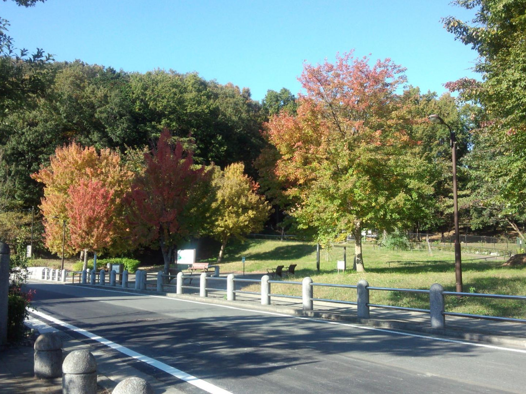 町田市旅游景点-Oyamadairi Park