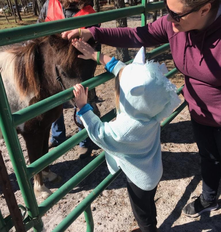 Wild Horse Preserve at Grayce Wynds景点图片