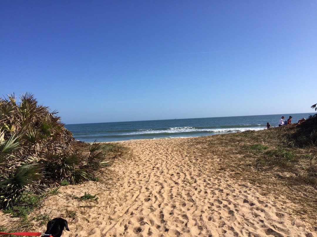 棕榈海岸旅游景点-Jungle Hut Park