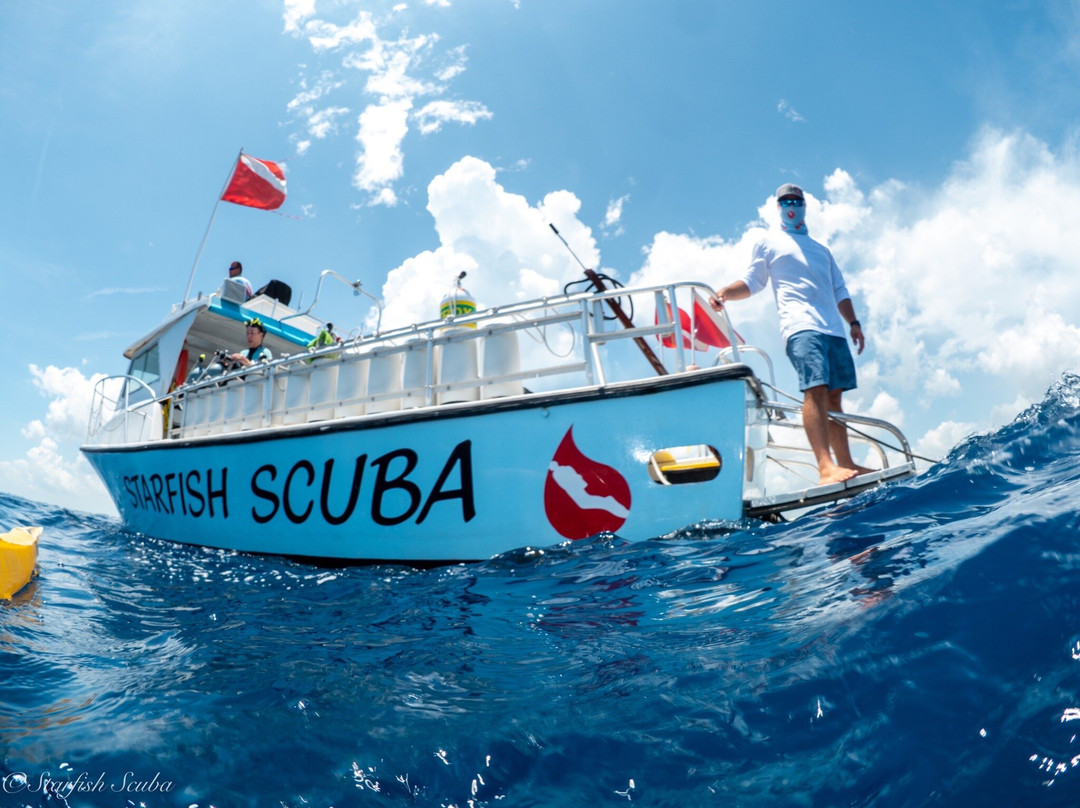 Starfish Scuba-博因顿海滩必去景点