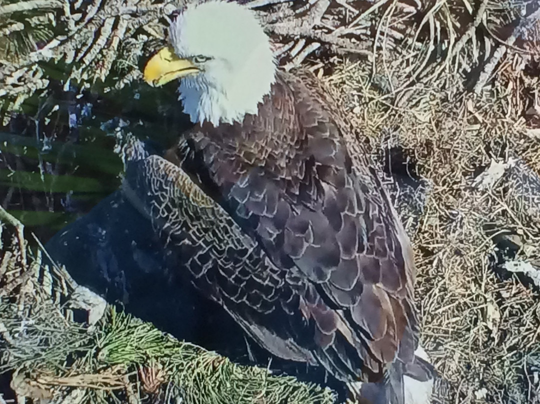 Ormond Beach Environmental Discovery Center at Central Park-奥蒙德海滩必去景点