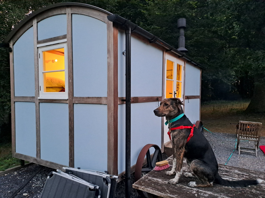 Wild Woodland Retreat