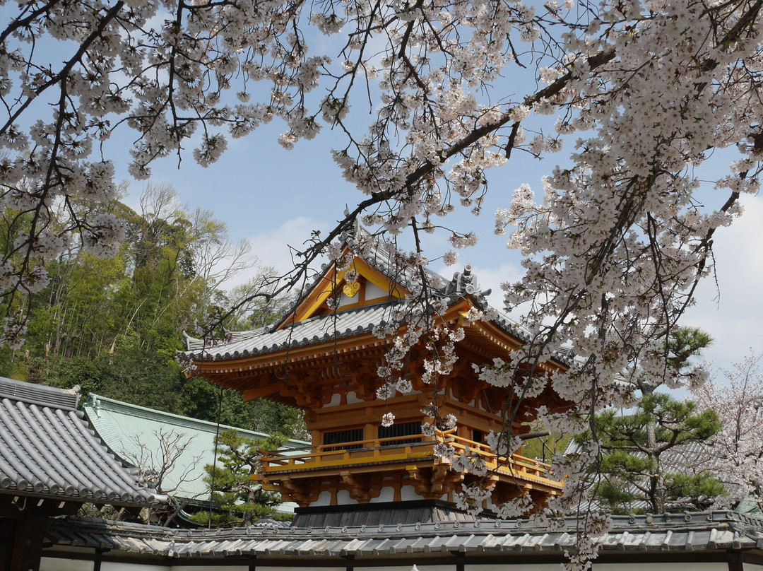 Shoboji Temple-八幡市必去景点