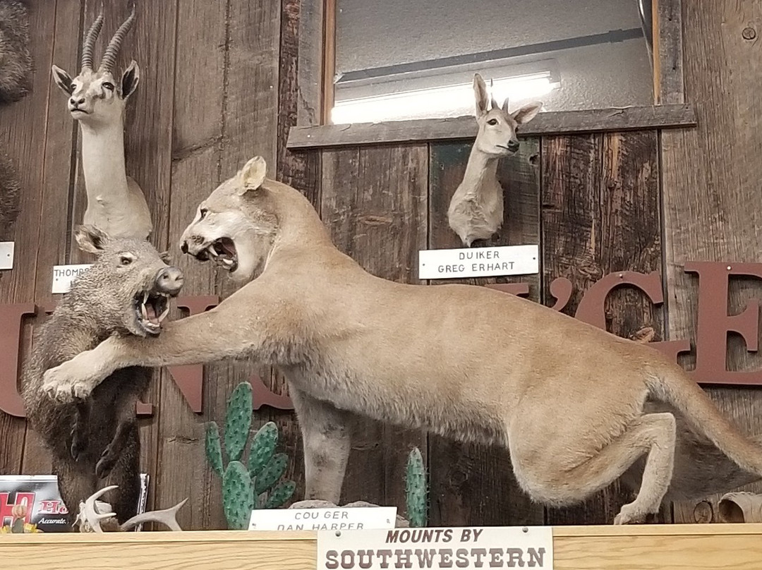 Western Drug & General Store