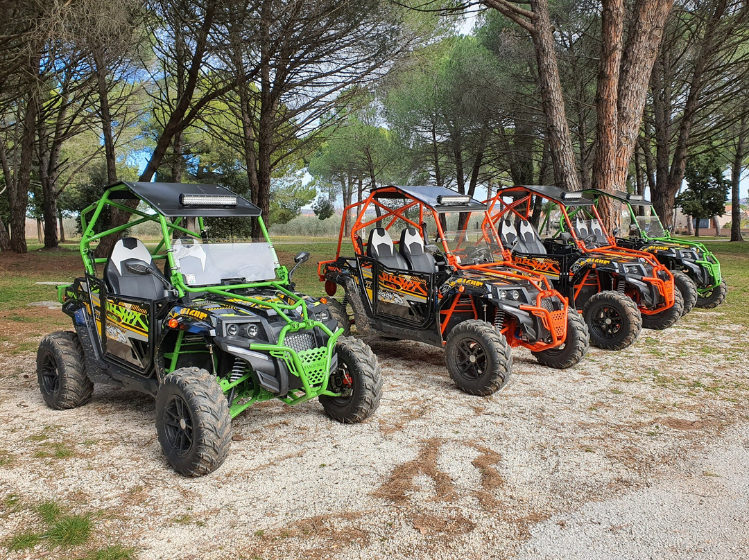 ISTRA BUGGY d.o.o.-法萨纳必去景点