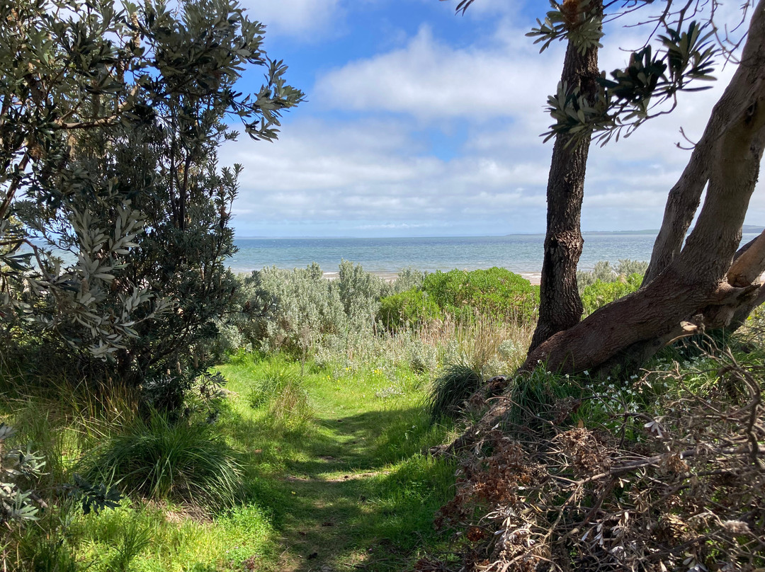 Corinella To Coronet Bay Coastal Walk景点图片