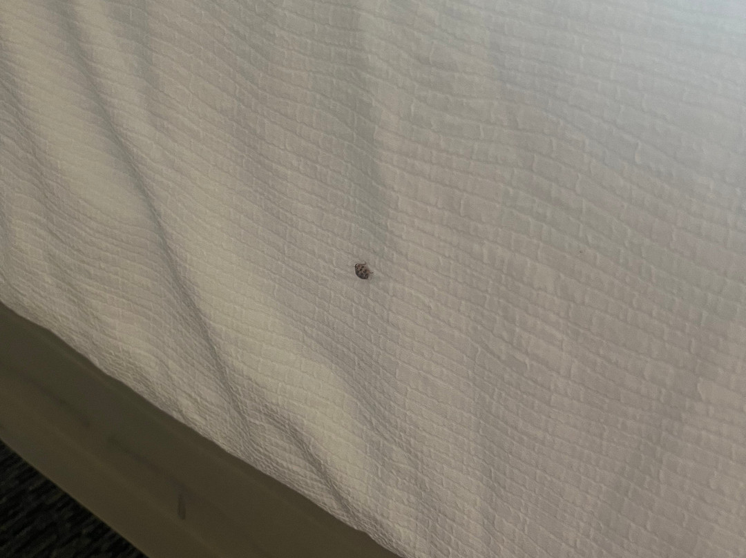 Staybridge Suites Madison - Fitchburg by IHG主图