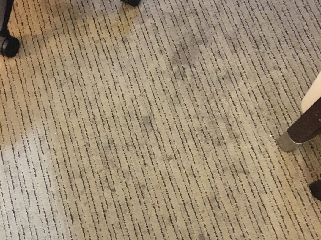 Comfort Inn Bloomington主图