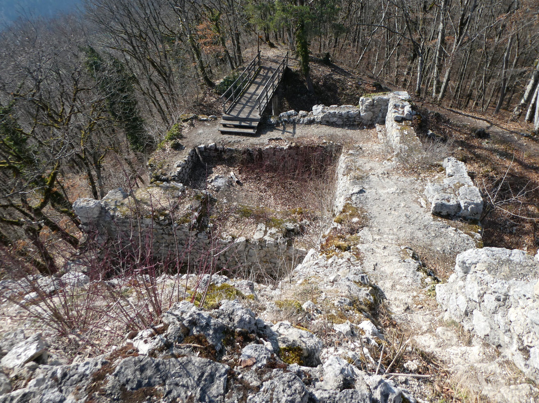 Burg Radegg景点图片