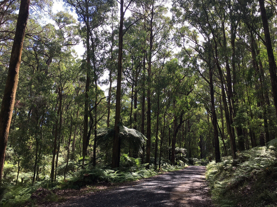 Kurth Kiln Regional Park-Gembrook必去景点