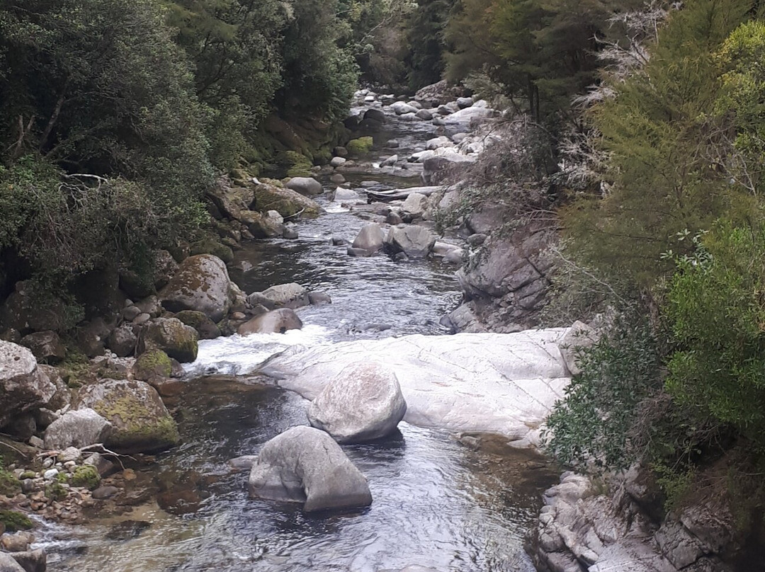 Wainui Falls Track-Abel Tasman National Park必去景点