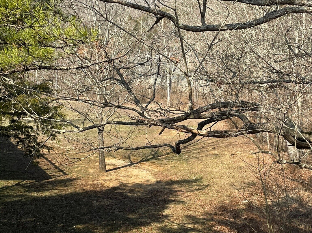 Echo Bluff State Park Lodge主图