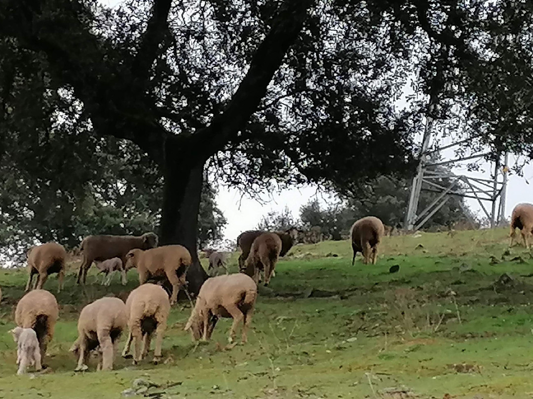 Hotel Rural Finca La Herencia主图