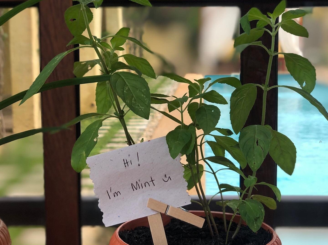 La Casa Di Beatrice主图