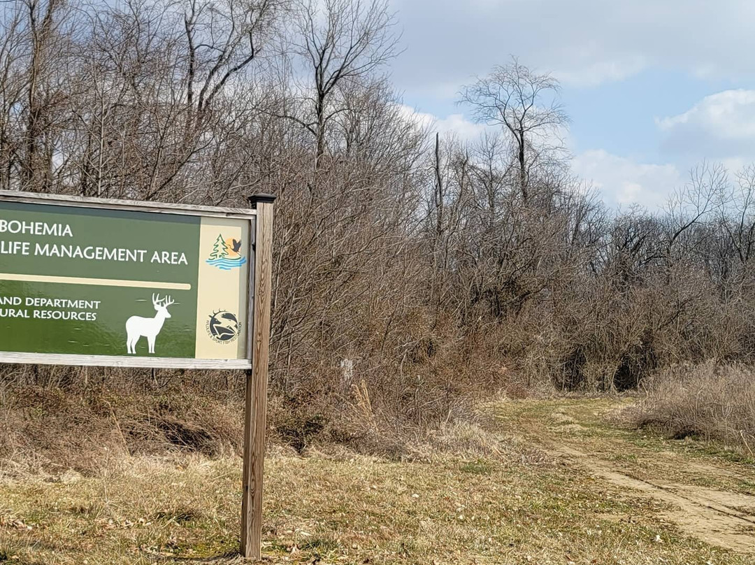 Old Bohemia Wildlife Management Area-Warwick必去景点