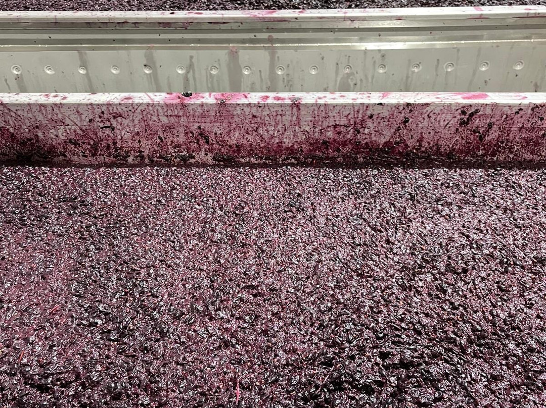 Piggs Peake Winery-波高尔宾必去景点