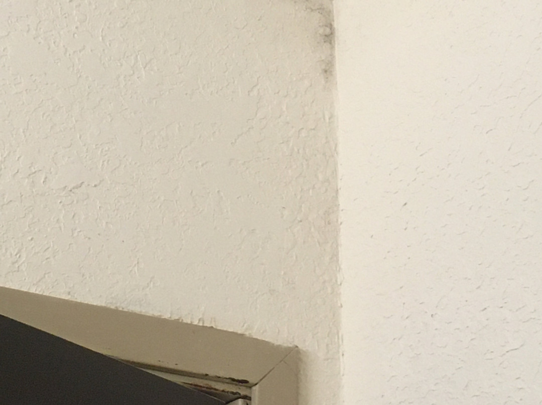 Sleep Inn & Suites主图