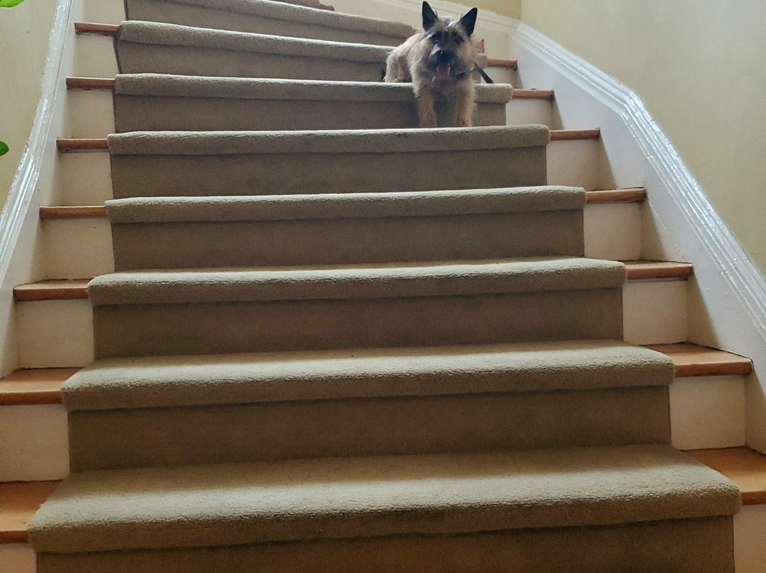 Princess Anne Hotel主图