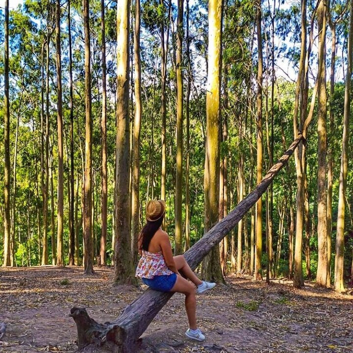 Parque da Cidade-尼泰罗伊必去景点