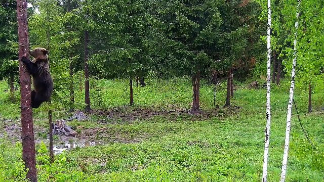 Observator De Ursi-Borzont必去景点