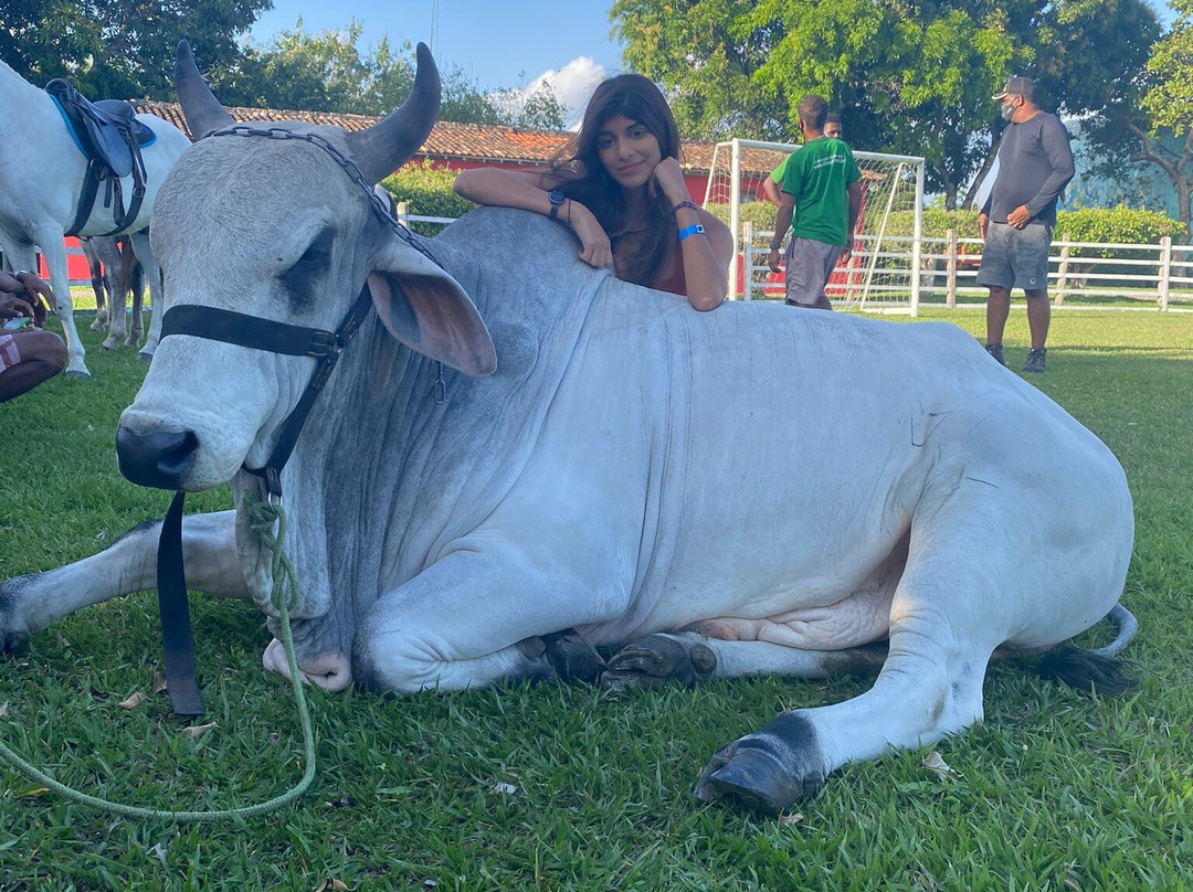 Hotel Fazenda Villa Rial主图