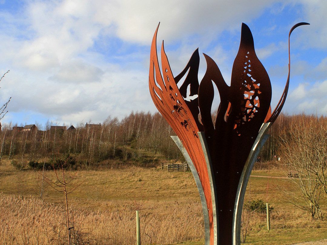 Gedling Country Park景点图片