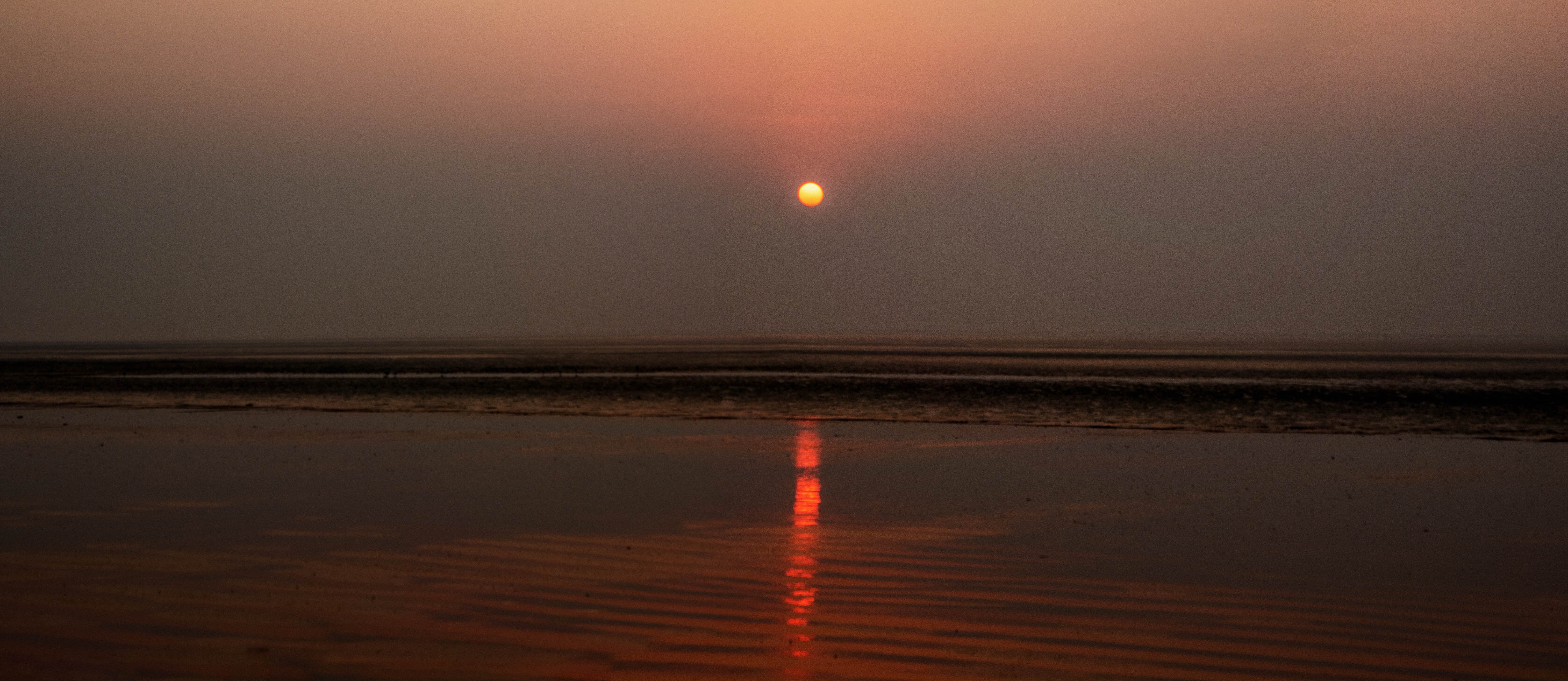 Panthanivas Chandipur-泳池
