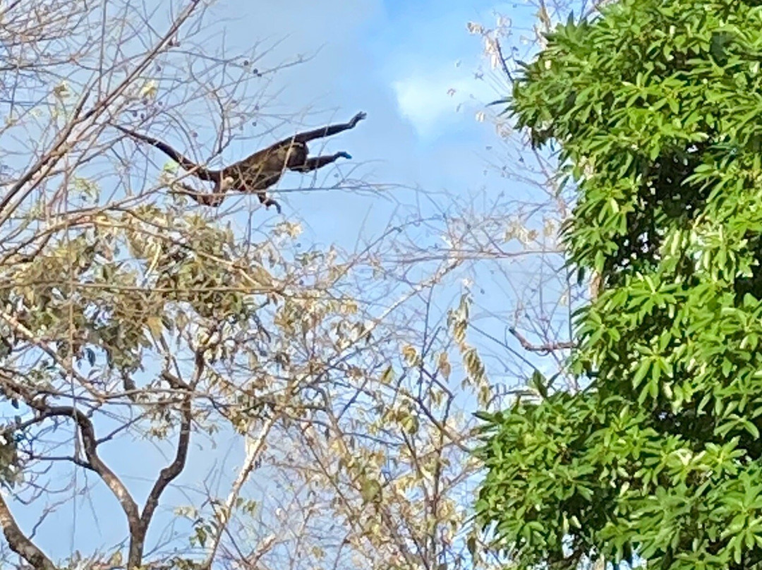 Pacific Bay Resort主图