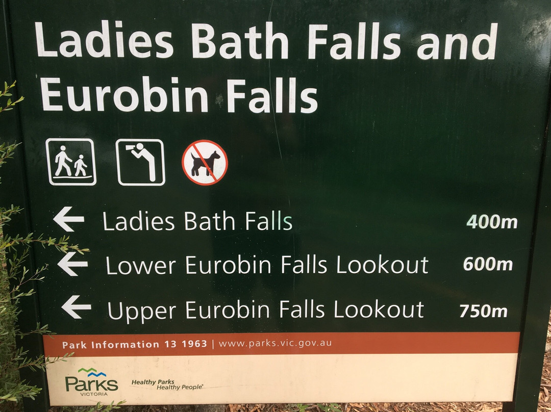 Ladies Bath Falls-水牛山国家公园必去景点