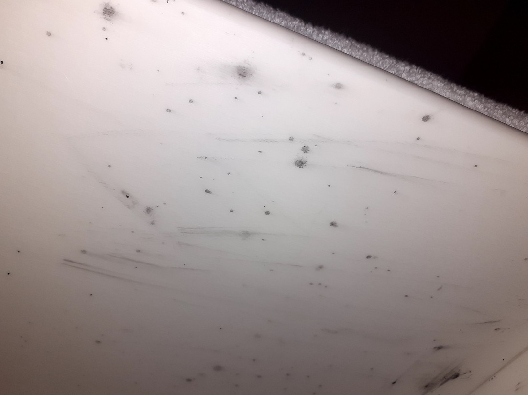 Baymont by Wyndham Texarkana主图