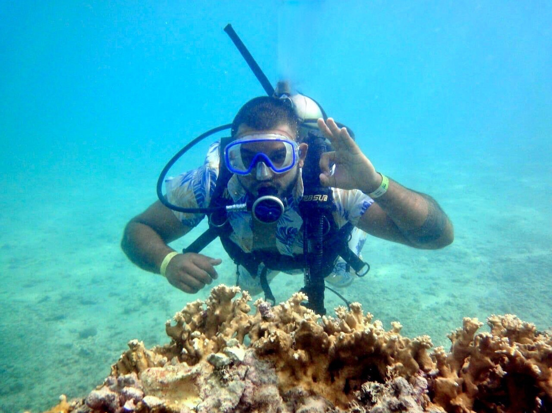 Piscinas Naturais de Barra Grande-Barra Grande必去景点