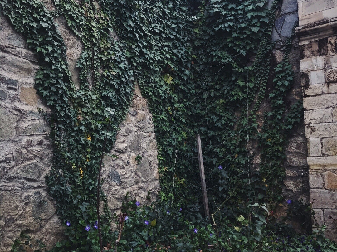 Machairas Monastery-尼科西亚必去景点