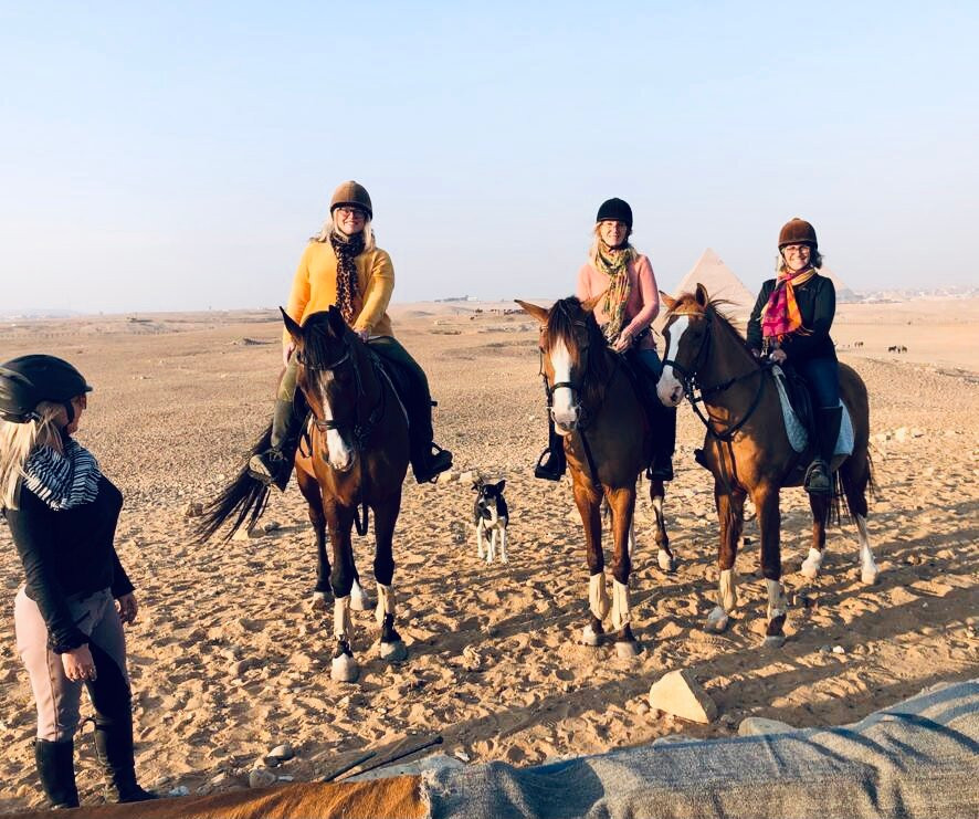 Happy Horse Holidays-开罗必去景点