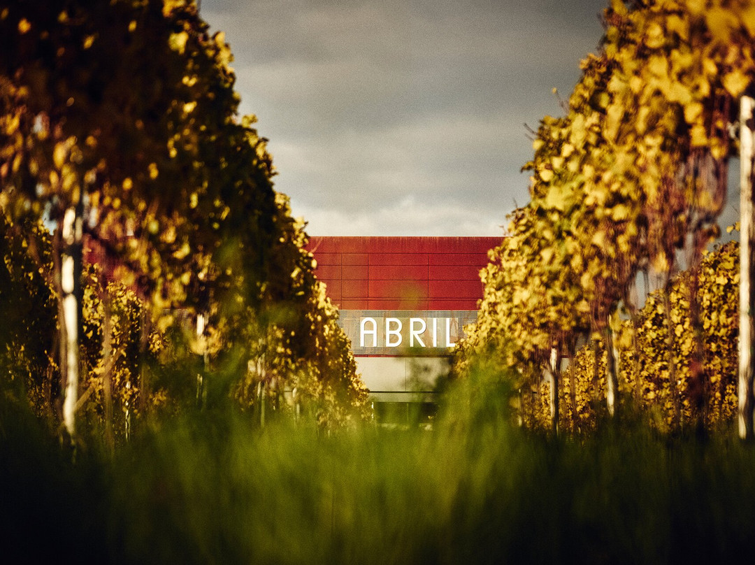 Weingut Abril景点图片