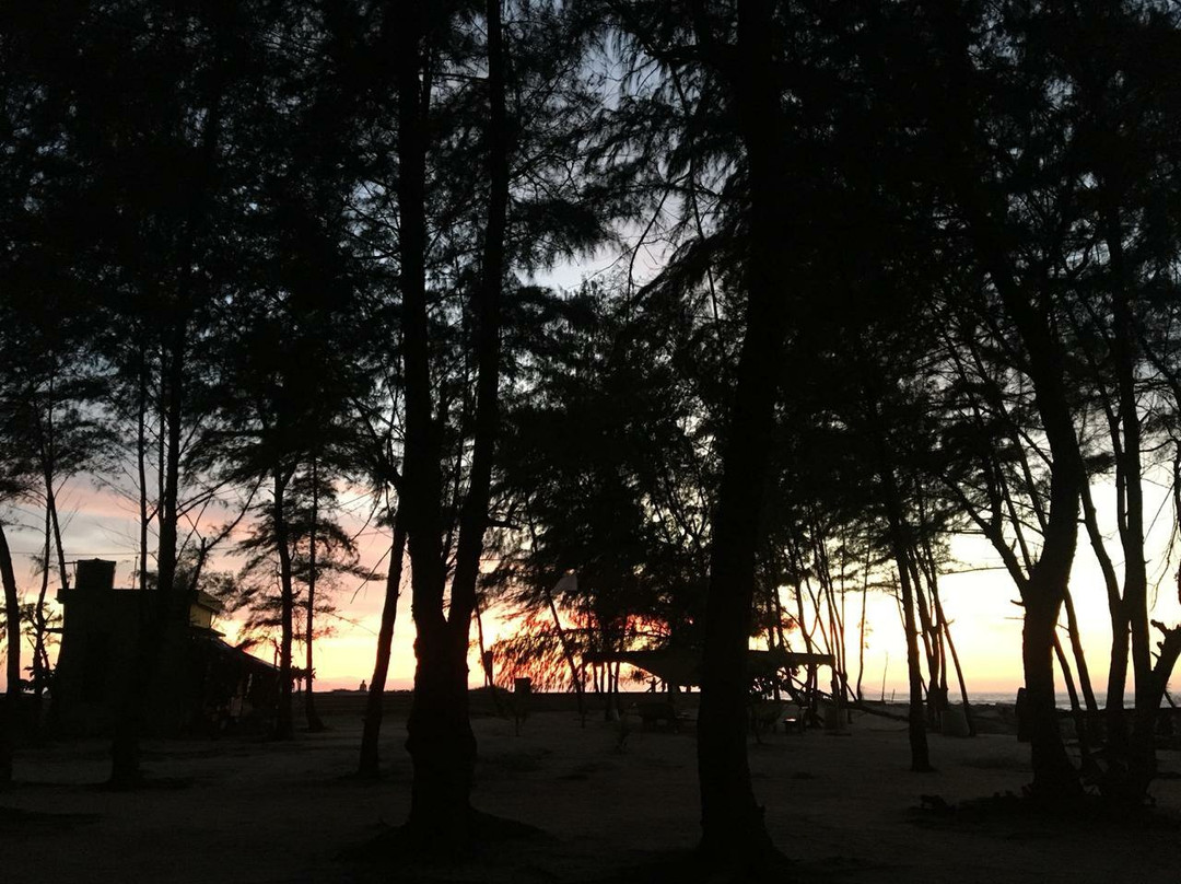 Sasihithlu Beach景点图片