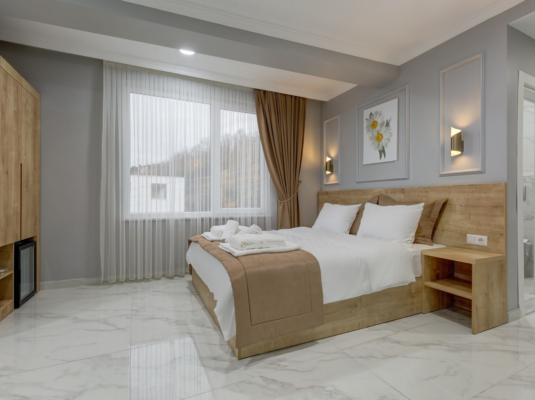 Sapanca View Hotel主图